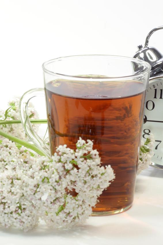 Remedios naturales para combatir la alergia nerviosa de piel - Valeriana, relaja los trastornos emocionales