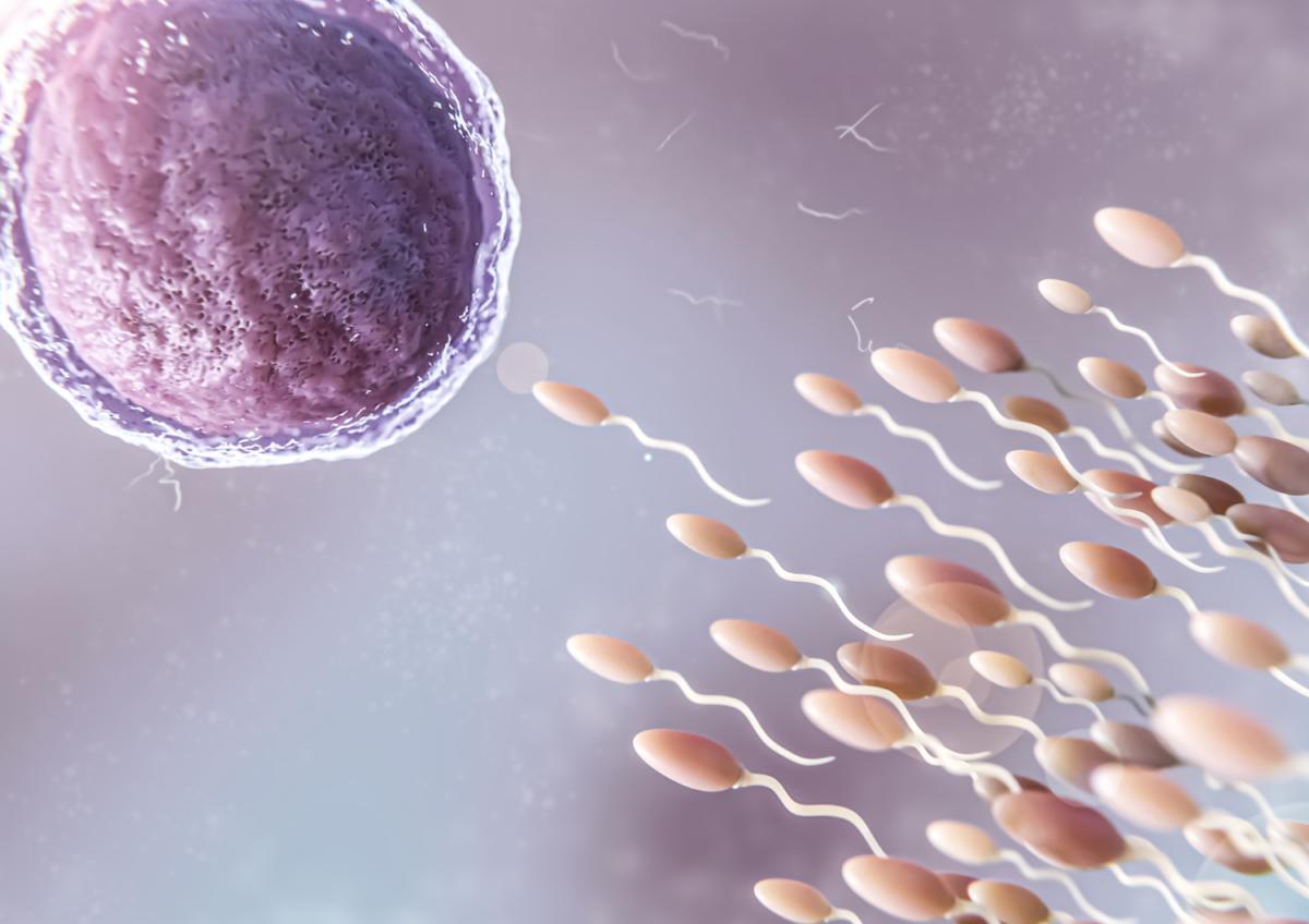Maternidad asistida: inseminación artificial y los mitos más comunes