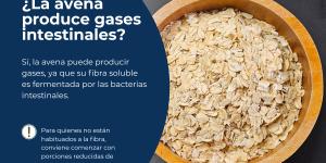 ¿La avena produce gases intestinales?