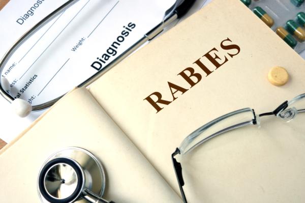 Rabia: causas, síntomas y tratamientos - Síntomas de la rabia