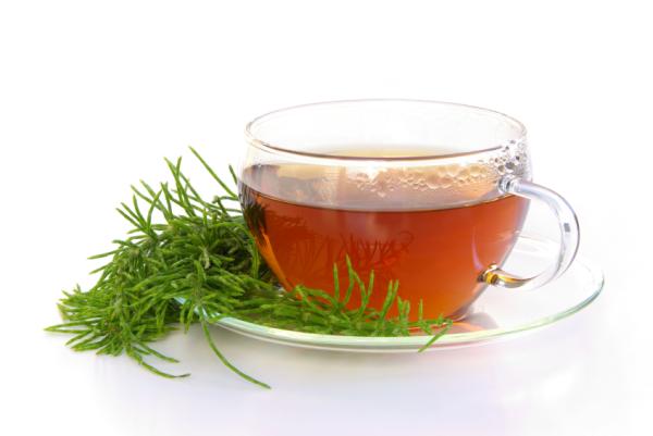 Infusiones para limpiar la vejiga - Infusión de cola de caballo
