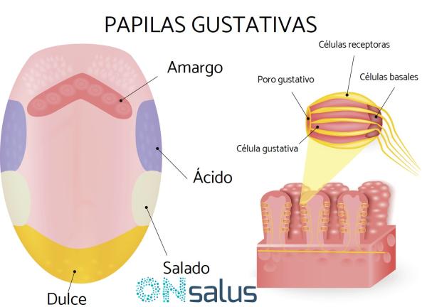 Sensación de pelos en la lengua y garganta - síndrome de lengua vellosa - ¿Por qué siento como pelos en la lengua?