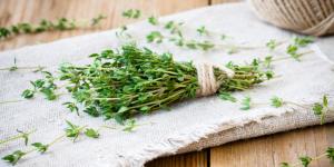 Beneficios del tomillo para la salud