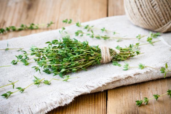 Beneficios del tomillo para la salud