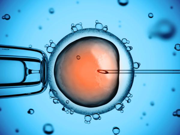 Cómo prepararse para una fertilización in vitro