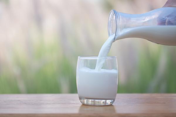 ¿La leche estriñe o es laxante? - ¿La leche es laxante?