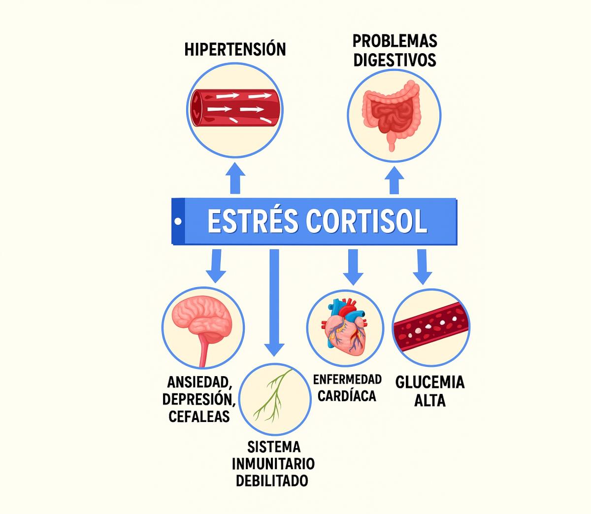 Cortisol alto por estrés: síntomas y cómo bajarlo