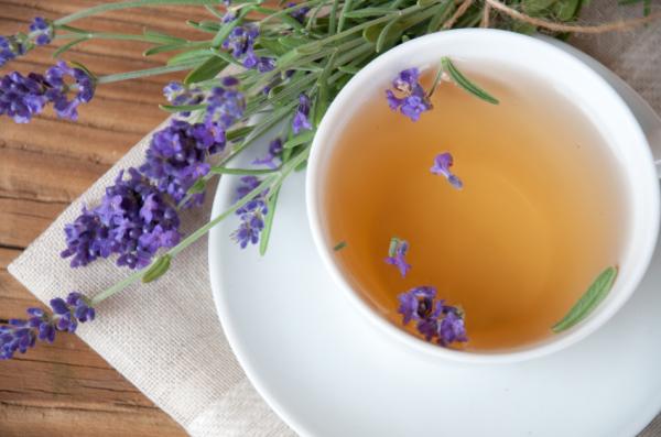 Infusiones relajantes para dormir bien - Lavanda: té o aromaterapia