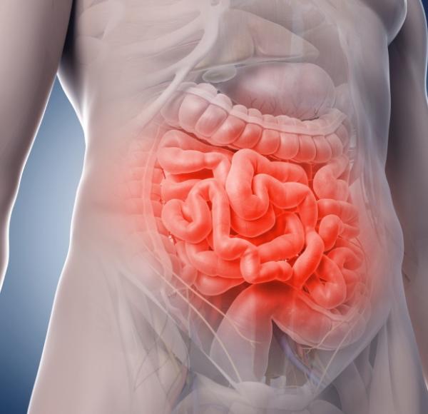 Beneficios del noni para la salud - Ayuda a mejorar la digestión