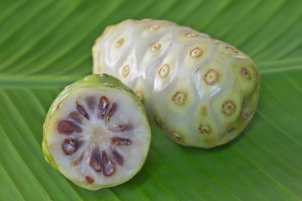 Beneficios del noni para la salud