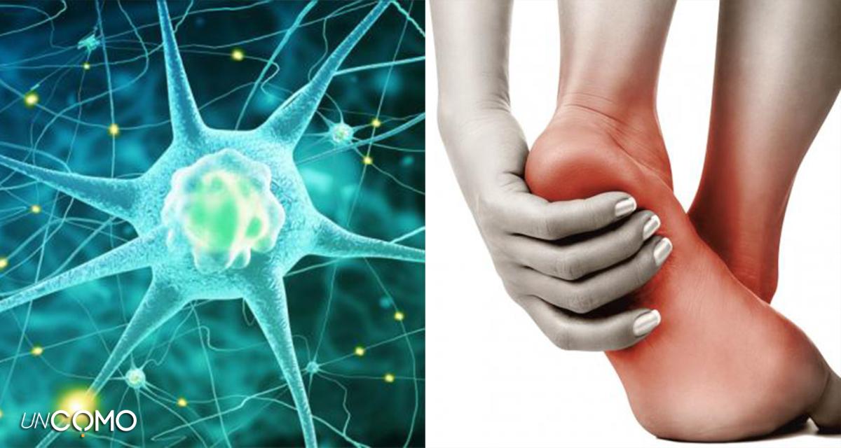 Neuropatía periférica: síntomas, tipos y tratamiento