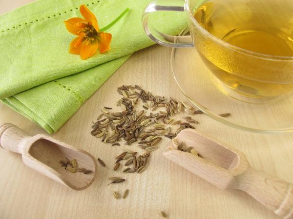 Remedios caseros para el dolor de estómago - Plantas carminativas para el dolor de estómago