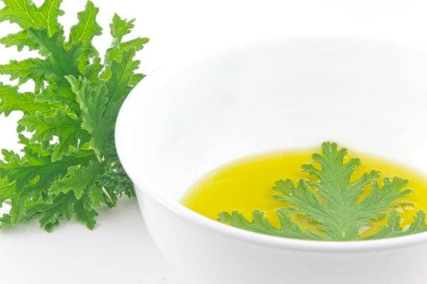 Remedios caseros para que no te piquen los mosquitos - Evitar mosquitos en casa con citronela