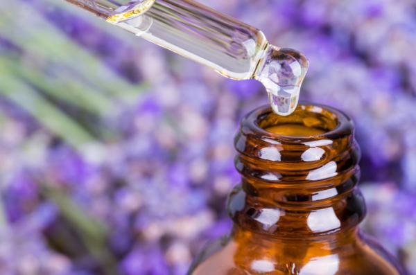 Remedios caseros para que no te piquen los mosquitos - Repelente para mosquitos casero: lavanda
