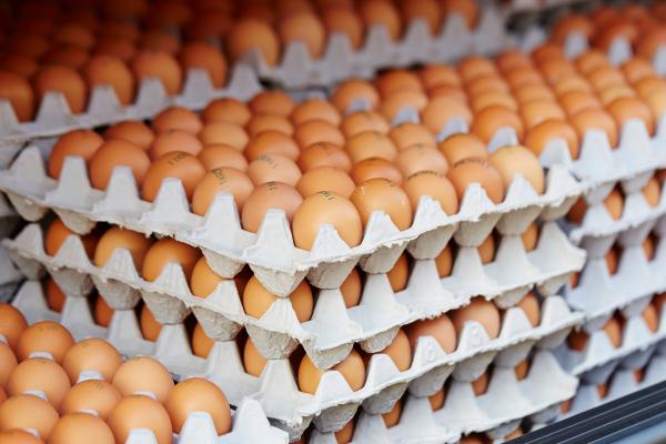 Alimentos que producen estreñimiento - Huevos