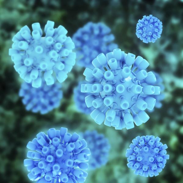 Hepatitis: tipos, síntomas y tratamiento - Tipos