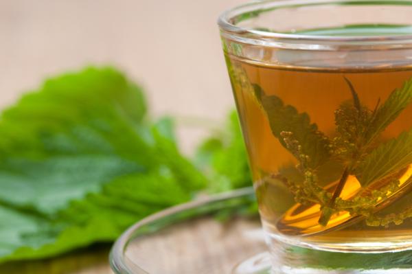 Remedios naturales para la infección de orina - Infusiones y tés