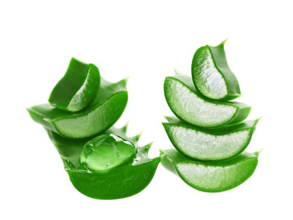 Caída del cabello por estrés: soluciones - Aloe vera para evitar la caída del pelo