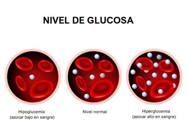 Cabeza embotada y sensación de mareo: causas y tratamiento - Hipoglucemia