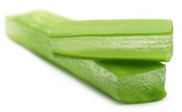 Remedios caseros para las picaduras de avispas - Aloe vera para la picadura de avispa