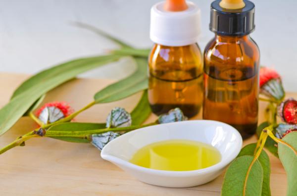 Remedios caseros para la bronquitis - Aceite de eucalipto