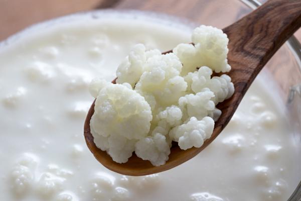 ¿El kéfir produce gases intestinales? Causas y soluciones - ¿Qué es el kéfir?