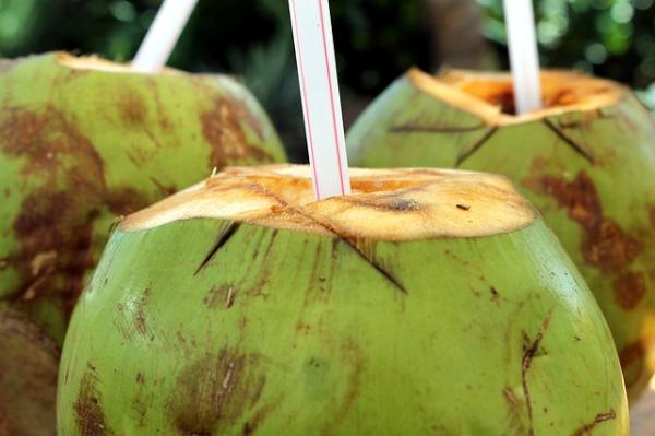 Los increíbles beneficios de beber agua de coco para tu salud - Te ayuda a desintoxicar el cuerpo