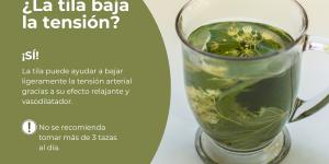 ¿La tila baja la tensión?