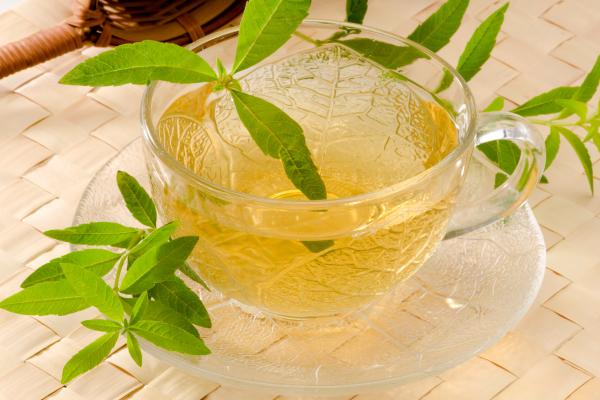 Infusiones prohibidas en el embarazo: descubre sus riesgos - Infusión de hierbaluisa