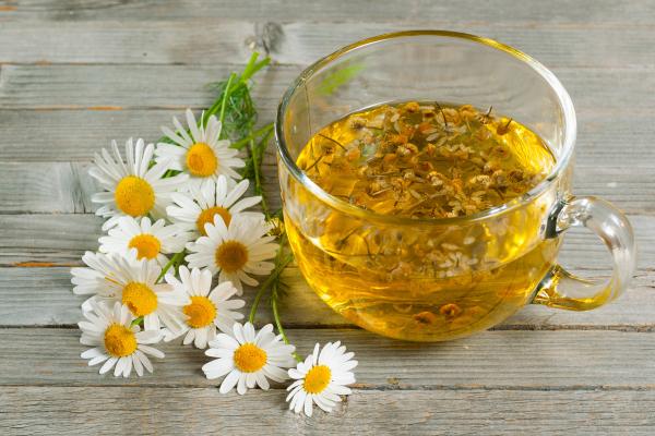 Infusiones prohibidas en el embarazo: descubre sus riesgos - Infusión de manzanilla