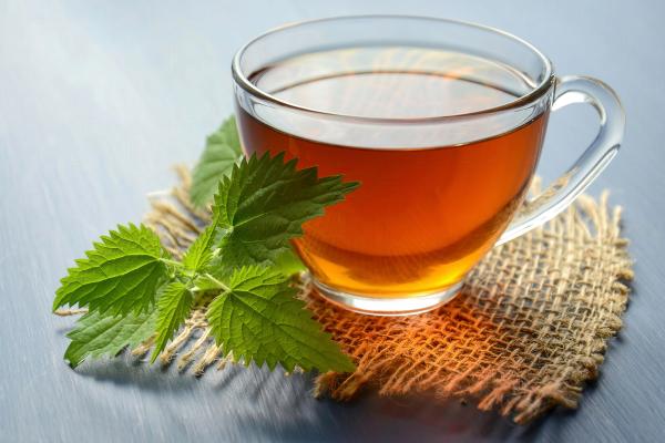 Infusiones prohibidas en el embarazo: descubre sus riesgos - Infusión de ortiga