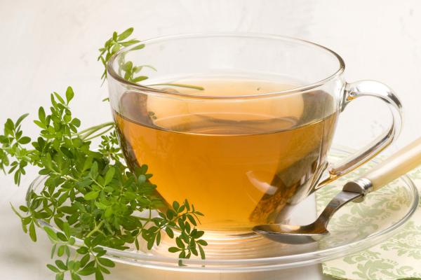Infusiones prohibidas en el embarazo: descubre sus riesgos - Infusión de ruda