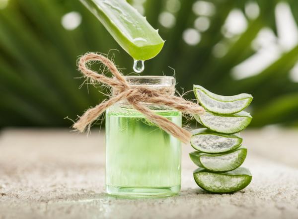 Cómo quitar moretones en las piernas rápido - Aloe vera