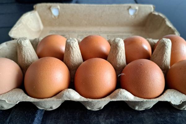 Alimentos ricos en triptófano y serotonina para mejorar el ánimo y la salud mental - Huevos