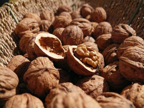 Alimentos ricos en oxalatos - Frutos secos