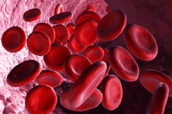 Qué es VCM en un análisis de sangre - VCM y las analíticas