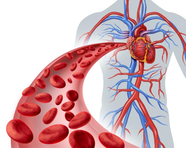 Varices: causas, síntomas y tratamientos - Causas de las varices 