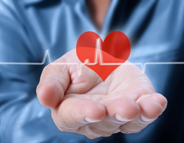 Beneficios de la miel de brezo - Beneficios cardiovasculares