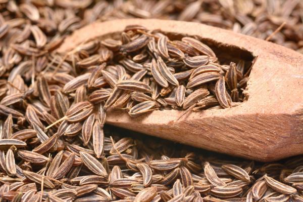 Los mejores antiácidos naturales - Semillas de comino