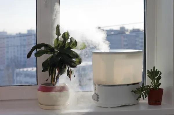 Cómo expulsar los mocos del pecho - Usar un humidificador