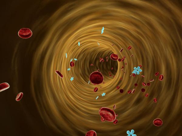 Acantosis nigricans: causas, síntomas y tratamiento - Acantosis nigricans: causas