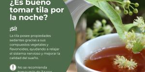 ¿Es bueno tomar tila por la noche?
