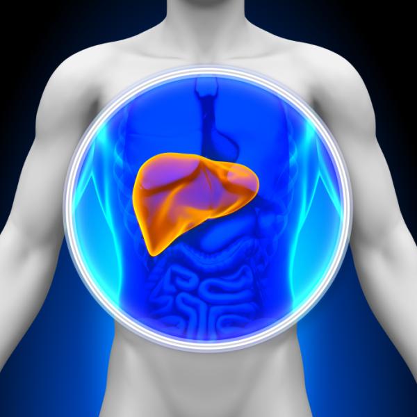 Hemocromatosis: causas, síntomas y tratamiento - Síntomas de la hemocromatosis