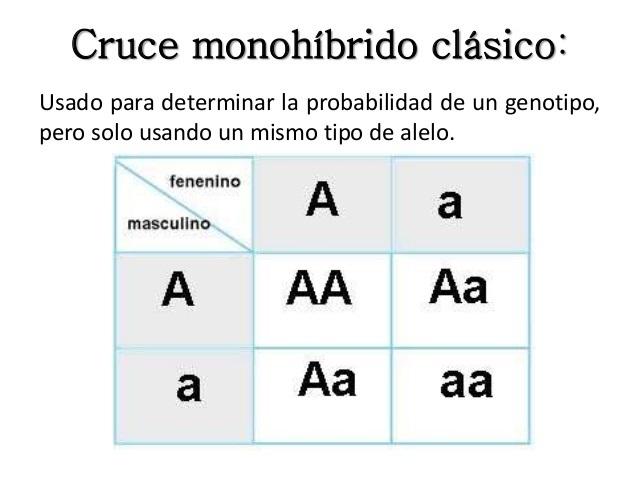 Definición De Cruce Monohíbrido