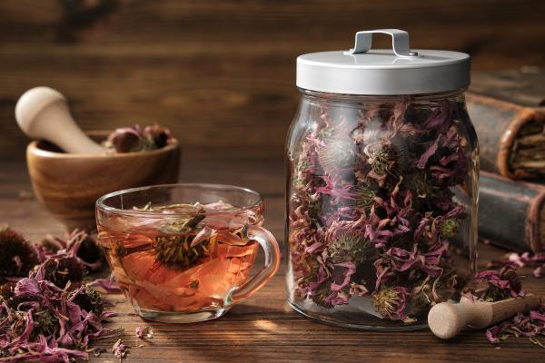 Infusiones para la gripe y los resfriados - Infusión de equinácea