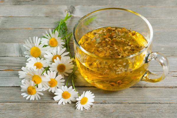 Infusiones para la gripe y los resfriados - Infusión de manzanilla