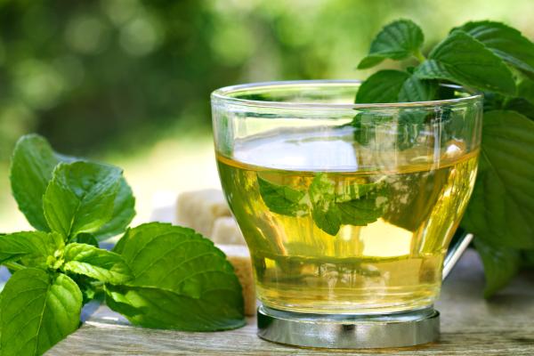 Infusiones para la gripe y los resfriados - Infusión de menta
