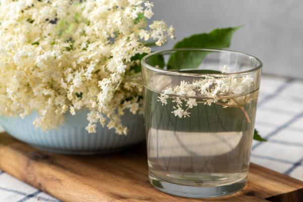 Infusiones para la gripe y los resfriados - Infusión de saúco