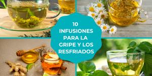 Infusiones para la gripe y los resfriados