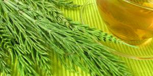 Infusiones para la cistitis